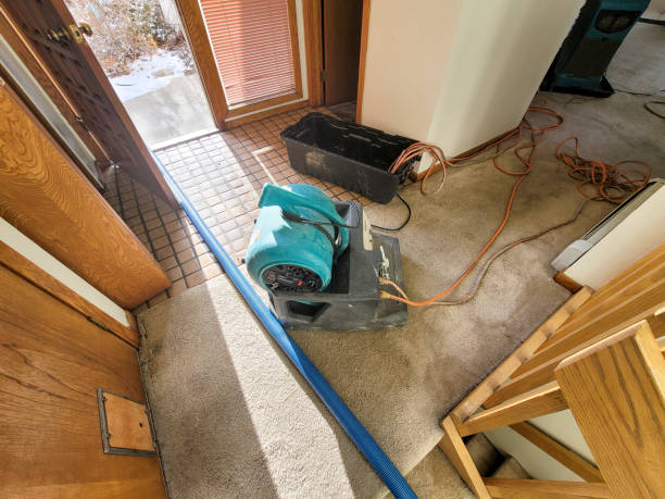 Best 24/7 water damage repair  in Mcconnelsville, OH