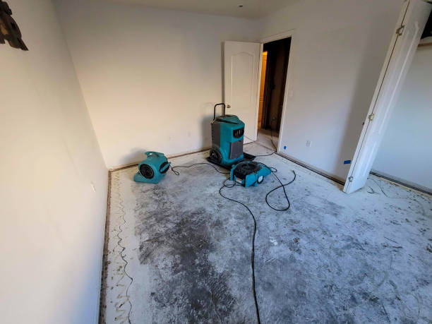 Best Residential water damage restoration  in Mcconnelsville, OH