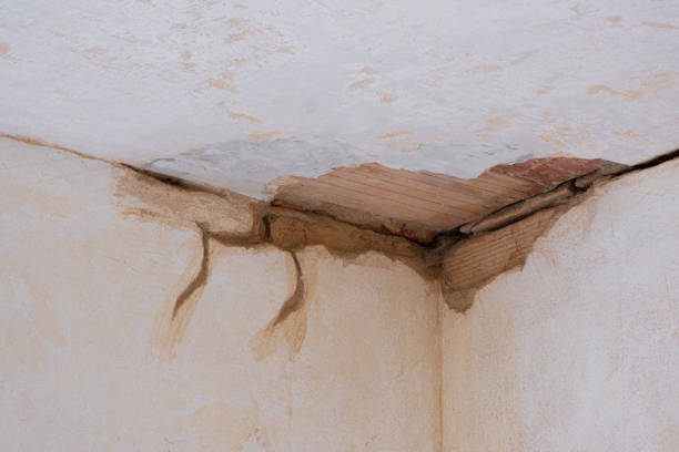 Best Basement water damage restoration  in Mcconnelsville, OH