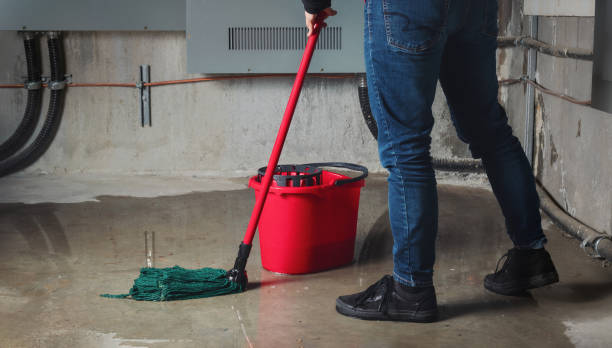Best Water damage restoration specialists  in Mcconnelsville, OH