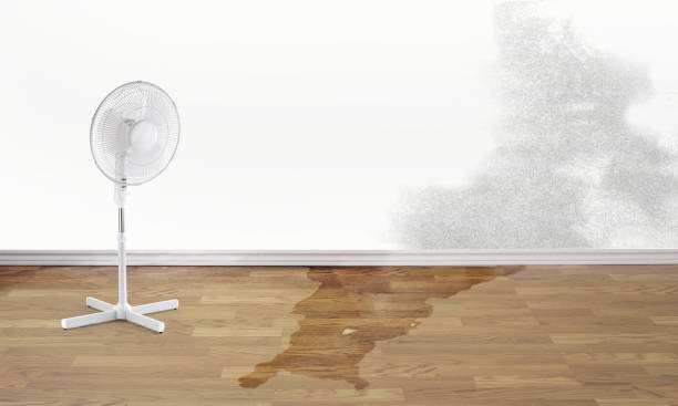 Best Water damage mitigation services  in Mcconnelsville, OH