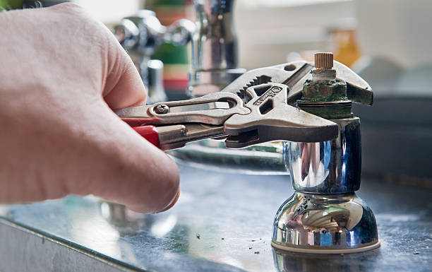 Best Flooded house restoration  in Mcconnelsville, OH