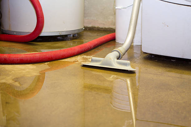 Best Mold removal after water damage  in Mcconnelsville, OH