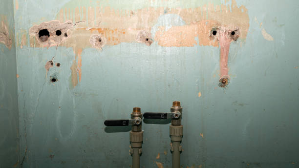 Best Professional water damage repair  in Mcconnelsville, OH