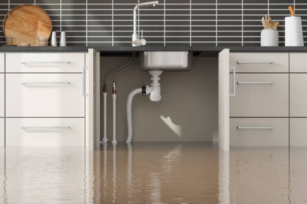 Best Ceiling water damage repair  in Mcconnelsville, OH