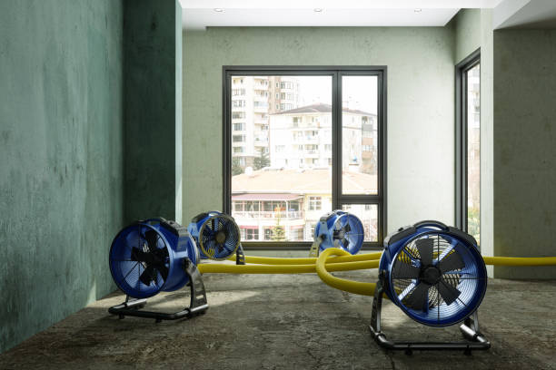 Best Commercial water damage restoration  in Mcconnelsville, OH