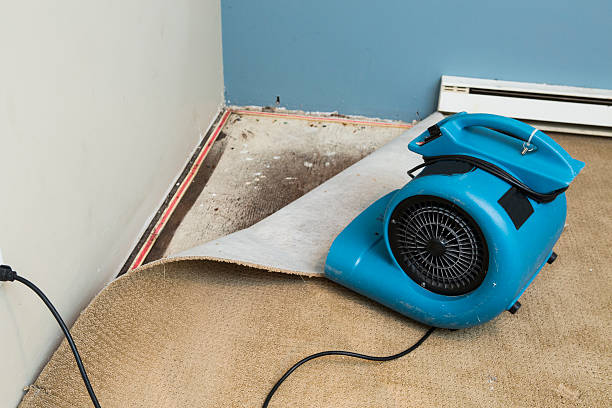 Water damage restoration mold remediation in Mcconnelsville, OH